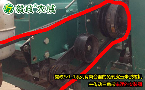 毅政牌ZL1系列有離合器的免剝皮玉米脫粒機(jī)，主傳動(dòng)三角帶錯(cuò)誤安裝