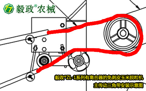 毅政牌ZL1系列有離合器的免剝皮玉米脫粒機(jī)，主傳動(dòng)三角帶正確安裝